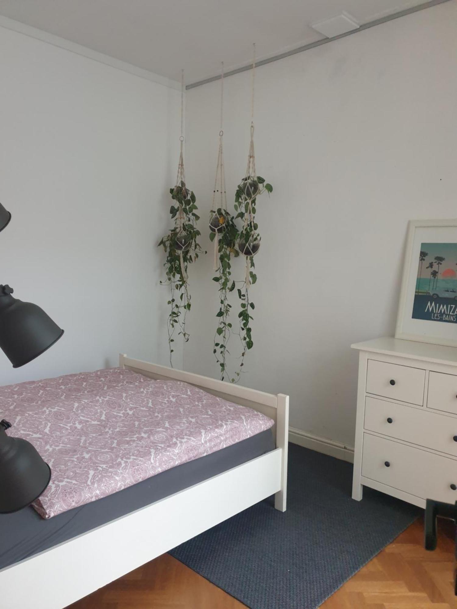 @Salland Zwolle  Quarto foto